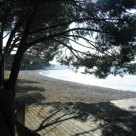 Apartment In With Balcony, Air Conditioning, W-lan,washing Machine 229-1 *